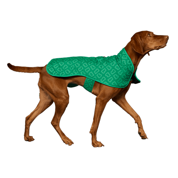 Dog Jacket - 파크 그린
