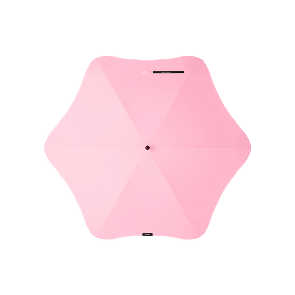Classic Limited Edition - 피오니